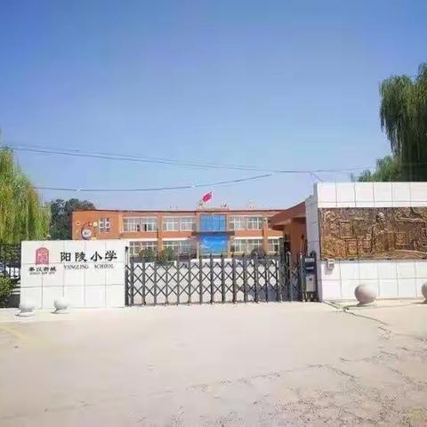 绿色校园建设--阳陵小学无土栽培社团活动开展小记