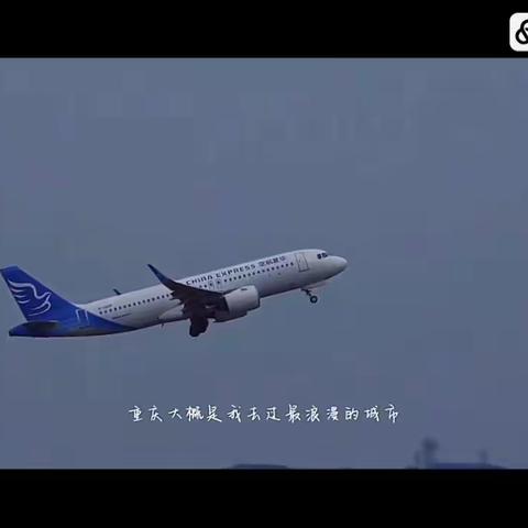 【勒是雾都🌁】·创意绘·2024春（第6-7周）