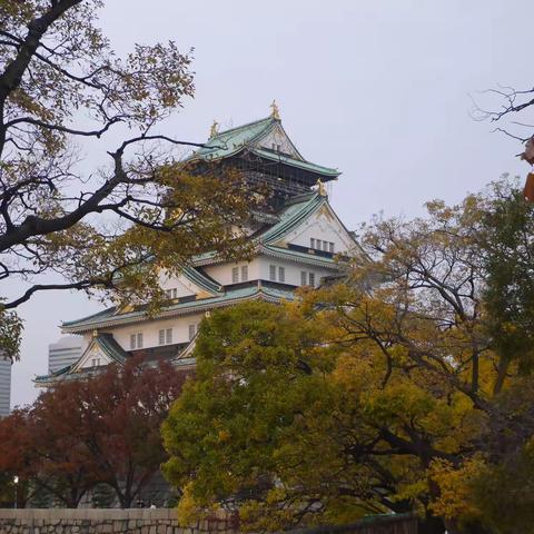 关西赏枫之旅（三）大阪