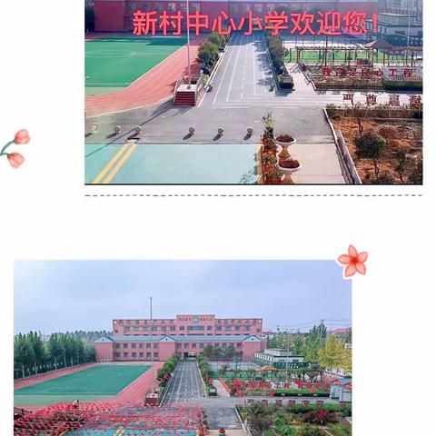 不忘初心 砥砺前行 ——郯城县新村开发区小学2022-2023学年第一学期数学教研组工作回顾