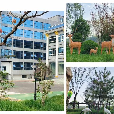 华康养老服务中心“提服务，保平安，护幸福”每周简篇