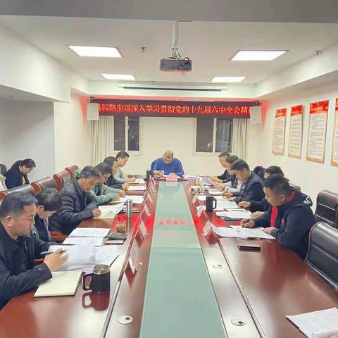 桃园路街道深入学习贯彻党的十九届六中全会精神