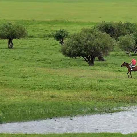 酒歌