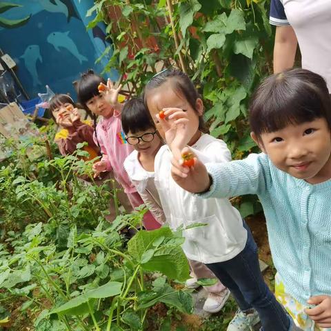 汇龙幼儿园一日活动❤❤❤❤❤