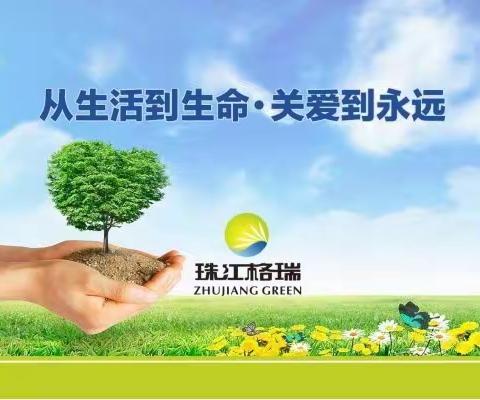 澳门街2022年2月第二周清道夫