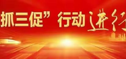 【“三抓三促”行动进行时】东坝中心卫生院加强村级医疗卫生监管，全力保障群众医疗安全