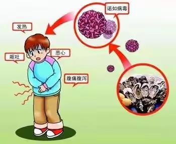 【做好防御  远离诺如】——翰林世家幼儿园宣