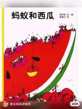 绽放夏日🍉 “暑”你精彩—金华市外国语学校附属翰城幼儿园托班暑期第四周