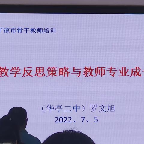 教学反思策略与教师专业成长