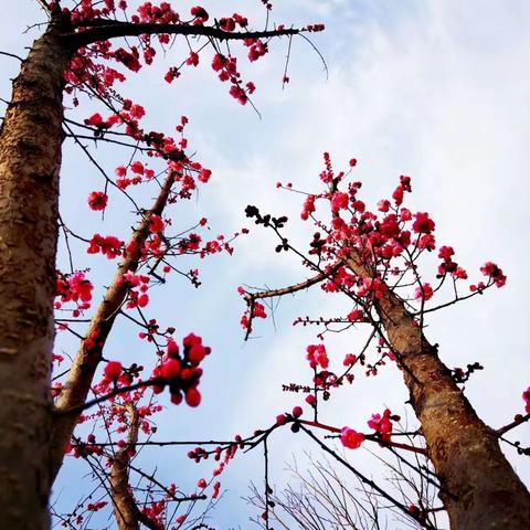 春天来了——二二班学生习作天地