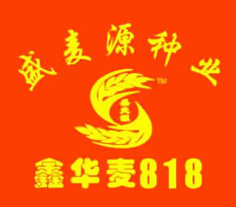 河南盛麦源种业 财富热线 0371-67816246 .13937176231.