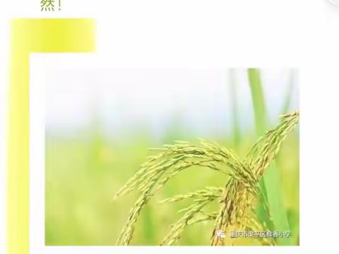 白板、公众号学习