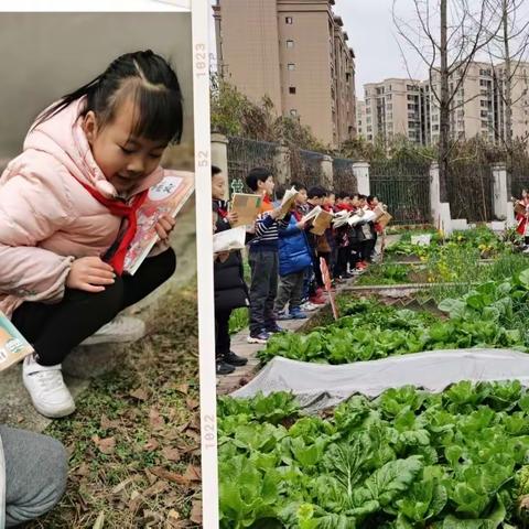 月牙成长记32—二月