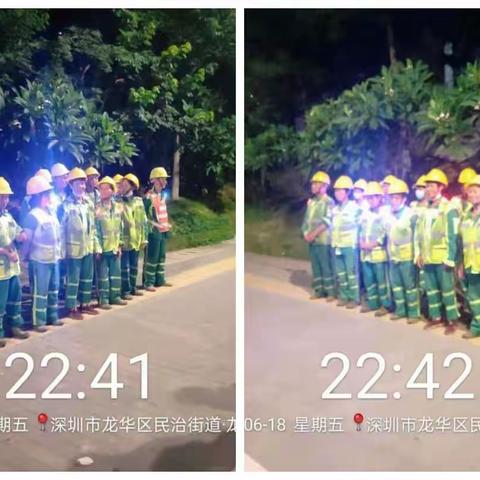 深爱绿化，圳美花开—D4标6月份工作总结