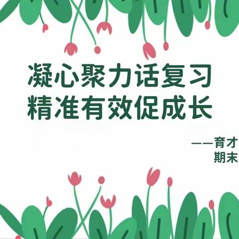 凝心聚力话复习 精准有效促成长——郑州市中原区育才小学语文学科期末复习教研会