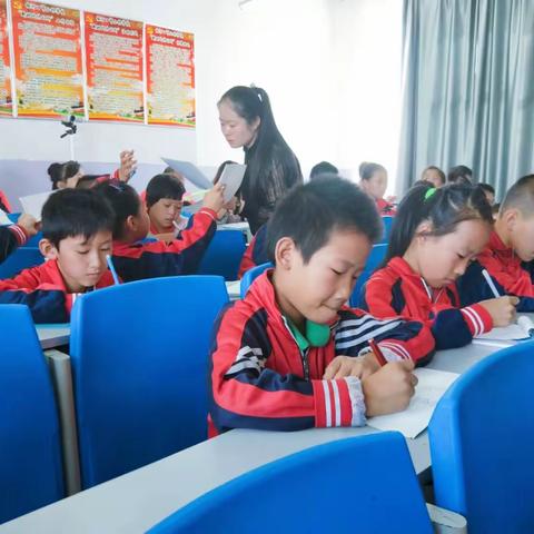 梅河口市小杨学校每人一节最佳课——杨舒文老师数学课《除数是整数的小数除法》