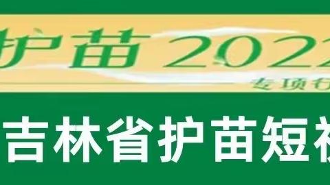 【小杨•党办】2022吉林护苗短视频大赛作品征集活动开始啦！