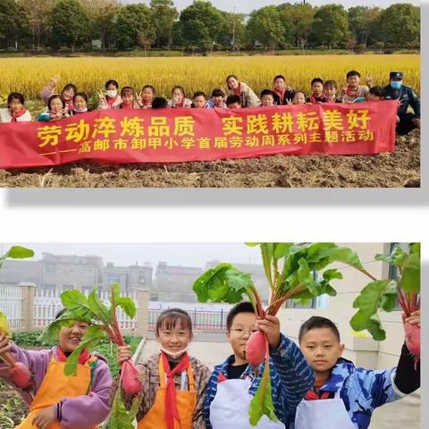 劳动淬炼品质 实践耕耘美好——高邮市卸甲小学首届劳动周系列主题活动