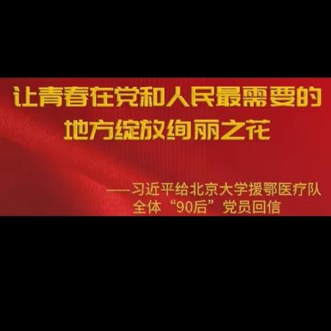 向北大援鄂“90后”学习  为海南自贸建设作贡献