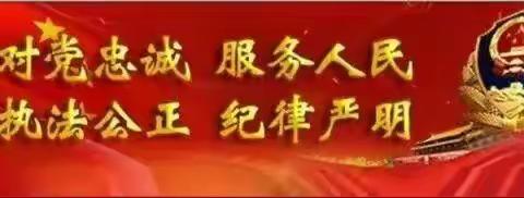 省厅食药环总队领导到我局检查指导工作