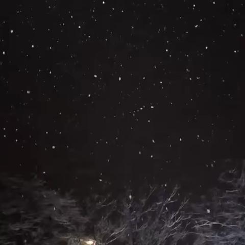 疫之雪/逆风天使