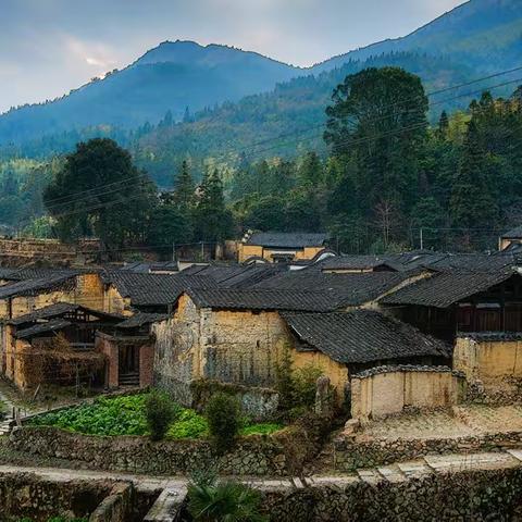 安静村的酒席