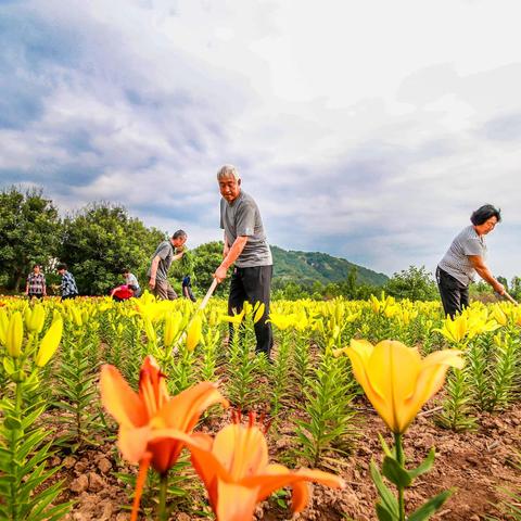 致范里籍在外乡亲的一封信