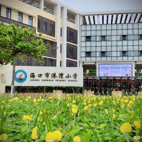 潜心研磨，精彩亮相——海口市港湾小学数学组第十一周教研活动