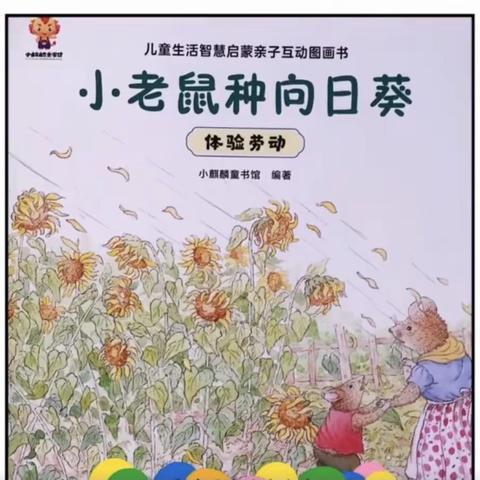 《小老鼠种向日葵》