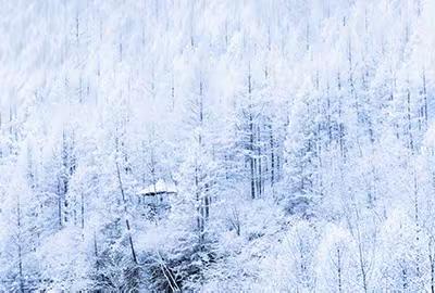 根河秋雪