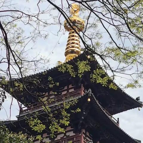 苏州、寒山寺、狮子林、西塘