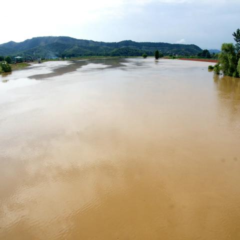 抗洪纪实——从九华河到青通河