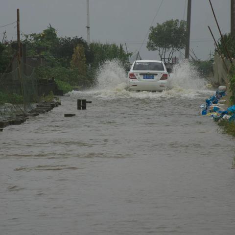 你们在  圩堤在  家就在——三大圩口抢险纪实