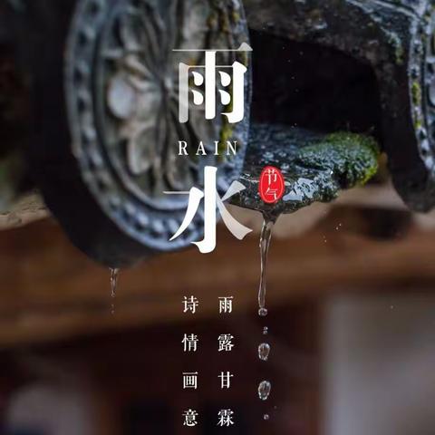 雨水｜沾衣欲湿杏花雨，春面不寒杨柳凤