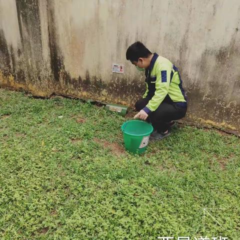 [海南呈正] 2023年11月23日屯昌县西昌镇病媒生物防制工作汇报