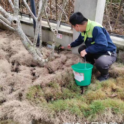 【海南呈正】2023年11月23日屯昌县南坤镇病媒生物防制工作汇报