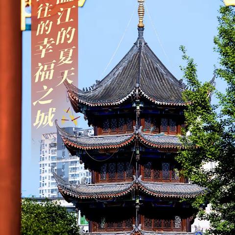 「温江综合行政执法」城市精细管，提升幸福感