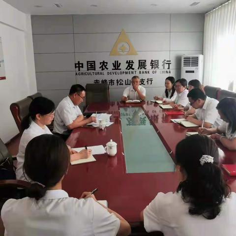 七一慰问送温暖 不忘初心传薪火   农发行赤峰市分行仝凤君同志到松山区支行检查指导工作并慰问老党员