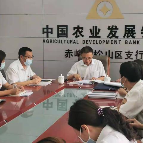 农发行松山区支行圆满召开党史学习教育专题组织生活会