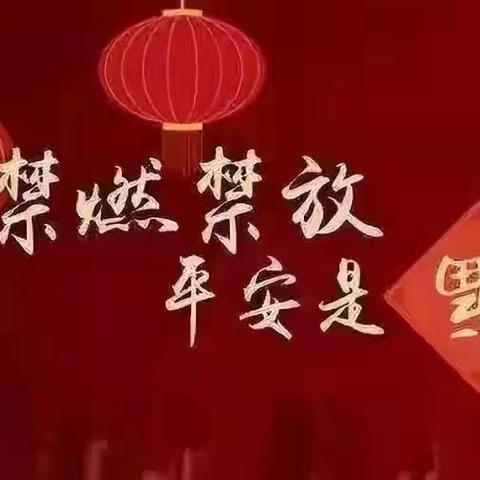 守护“兴庆蓝”，过个绿色环保年，六小人在行动.......