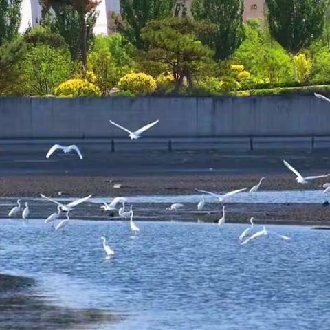 五言绝句《夏日》三首