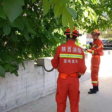 巨福路消防救援站处置多起抓蛇任务为民排忧