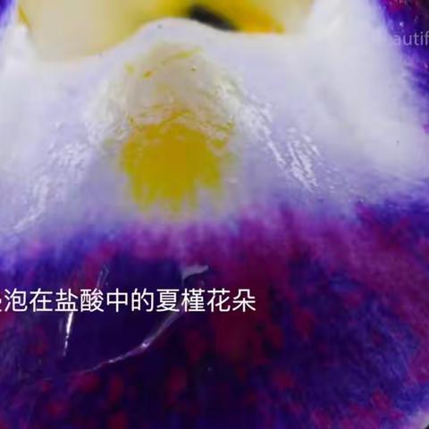 彩绘科幻，梦想启航-高一化学科技读书节展报