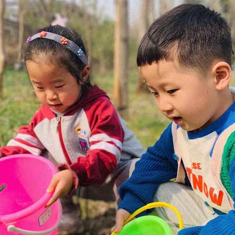 【大秦国际幼儿园】中六班三月主题活动精彩回顾