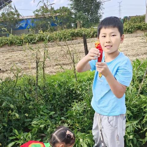 菜园欢乐多——莱州市双语学校 四年级六班  潘则名