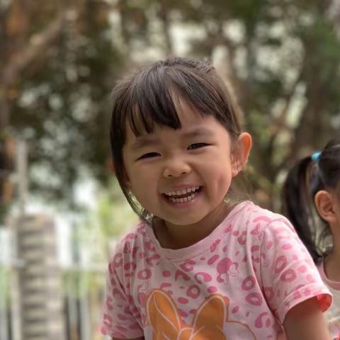 小二班第十一周回顾