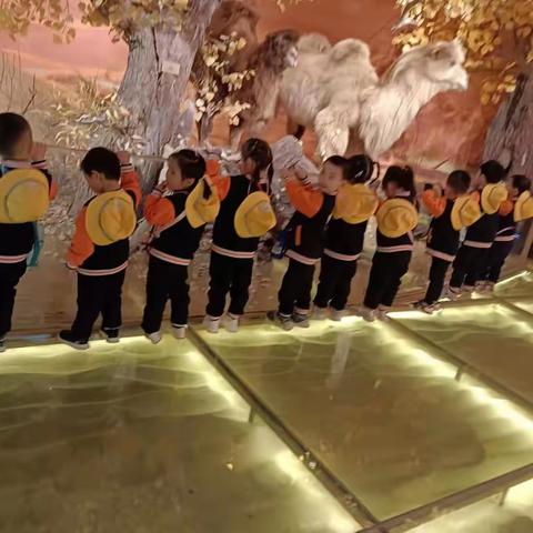 自然博物馆游学活动