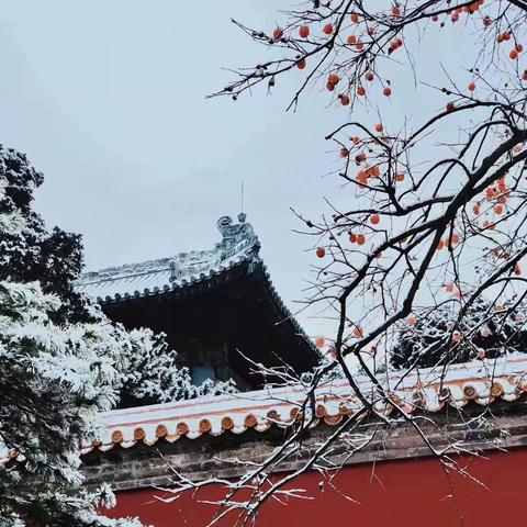 温情融积雪 爱意满校园—致雪后清扫校园积雪的老师、家长们