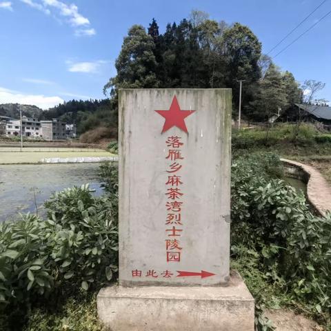 学党史 祭先烈——落雁乡中心学校组织开展清明祭扫革命英烈墓活动