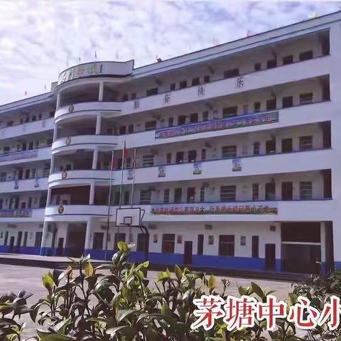   轻轻的说再见  深深的说爱你--茅塘中心小学